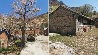 pp电子官方网站登录集团受邀前往北京市平谷区核桃洼村就乡村振兴合作项目进行实地考察