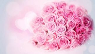 pp电子官方网站登录祝全体女同事节日快乐