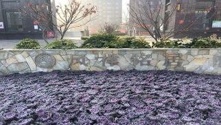 凤祥铭居二期顺利交房，业主喜获新居